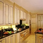 Birdseye Maple Kitchen Cabinets