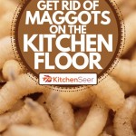 How To Get Rid Of Maggots In Kitchen Cabinets