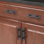 Kitchen Cabinet Hardware With Backplates