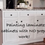 Painting Inside Kitchen Cabinets Laminate